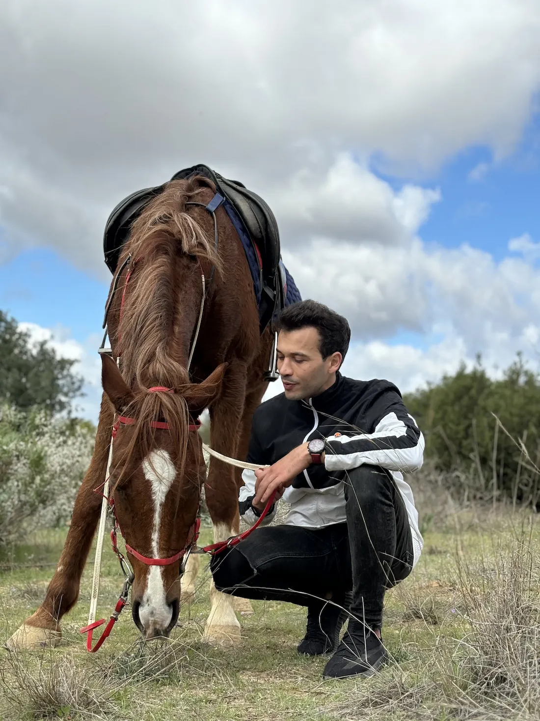 cour d'equitation pour debutant et intermediaire en tunisie