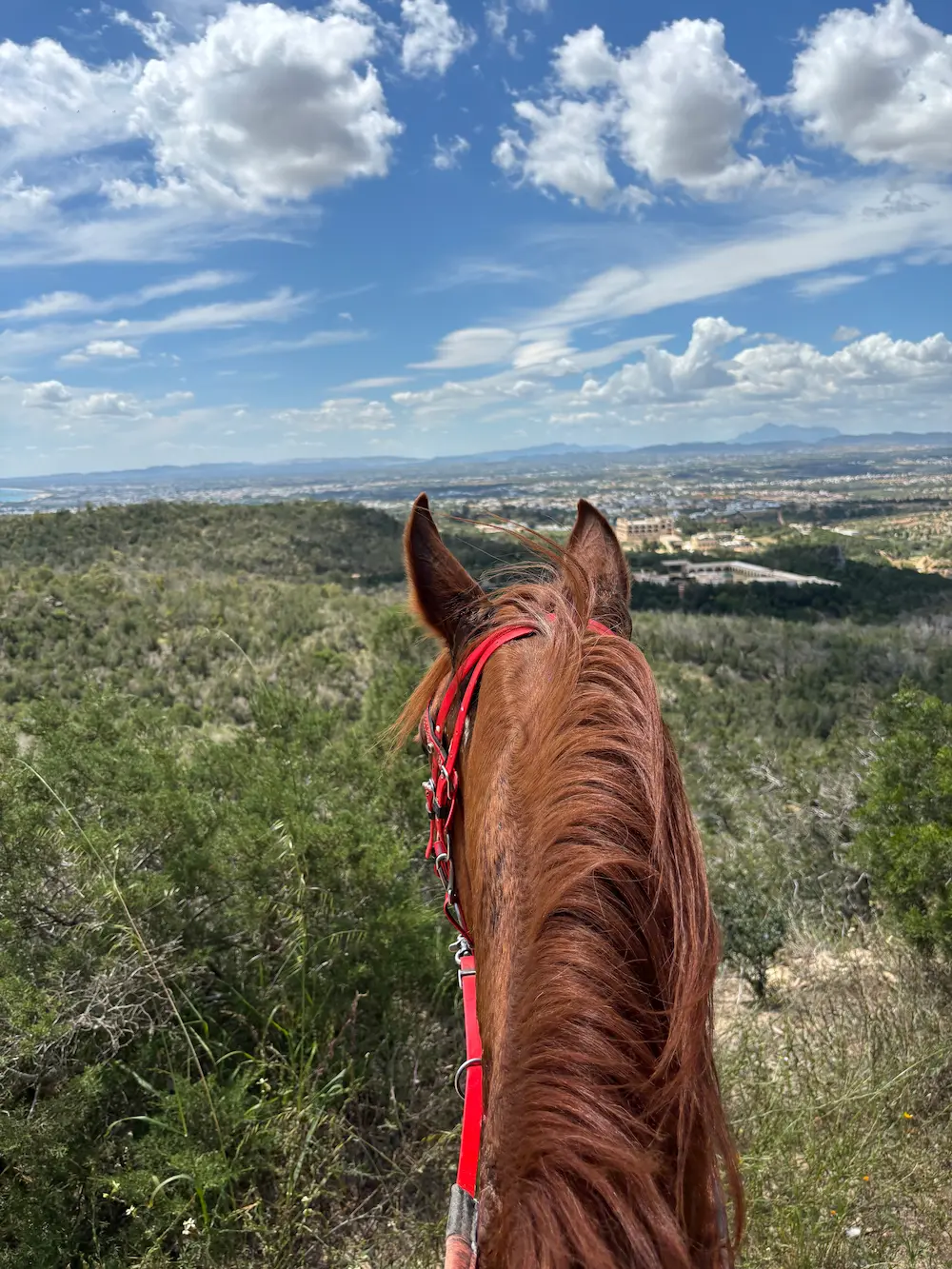 image seance d'equitation